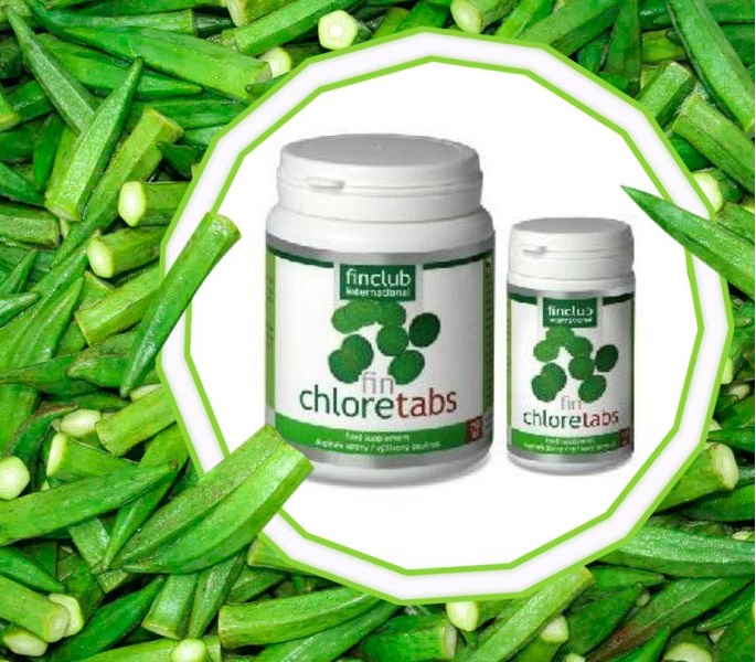 fin Chloretabs - Riasa Chlorella  - Jarná očista tela - detoxikácia - pomocník pri celulitíde - chudnutie - riasa pre zdravie - Chlorella pyrenoidosa